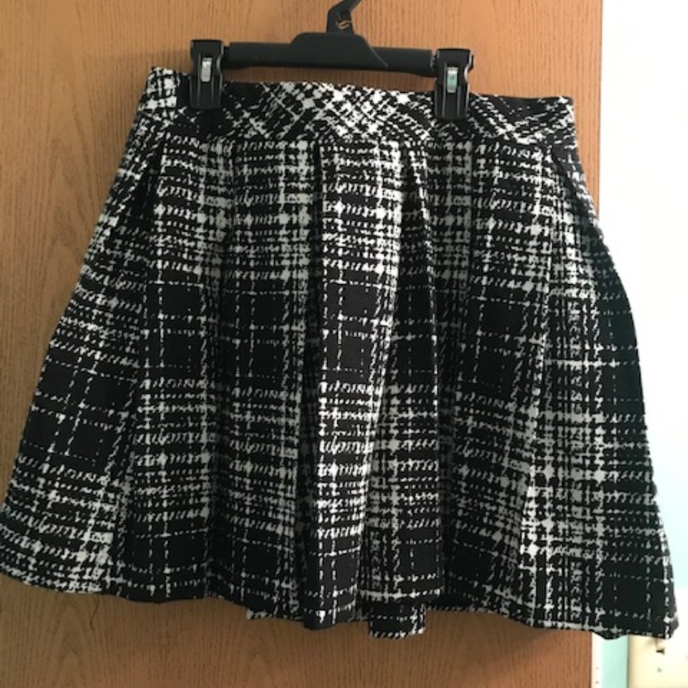 Pleated Skirt